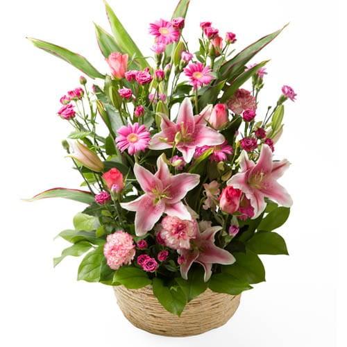 モンソーアレンジ TG トレグラン ピンク系 お返し ギフト バレンタイン 2024