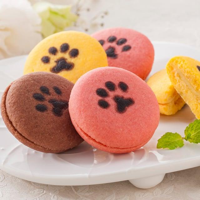 イーペルの猫祭り サンドクッキー チョコレート・チョコチップ