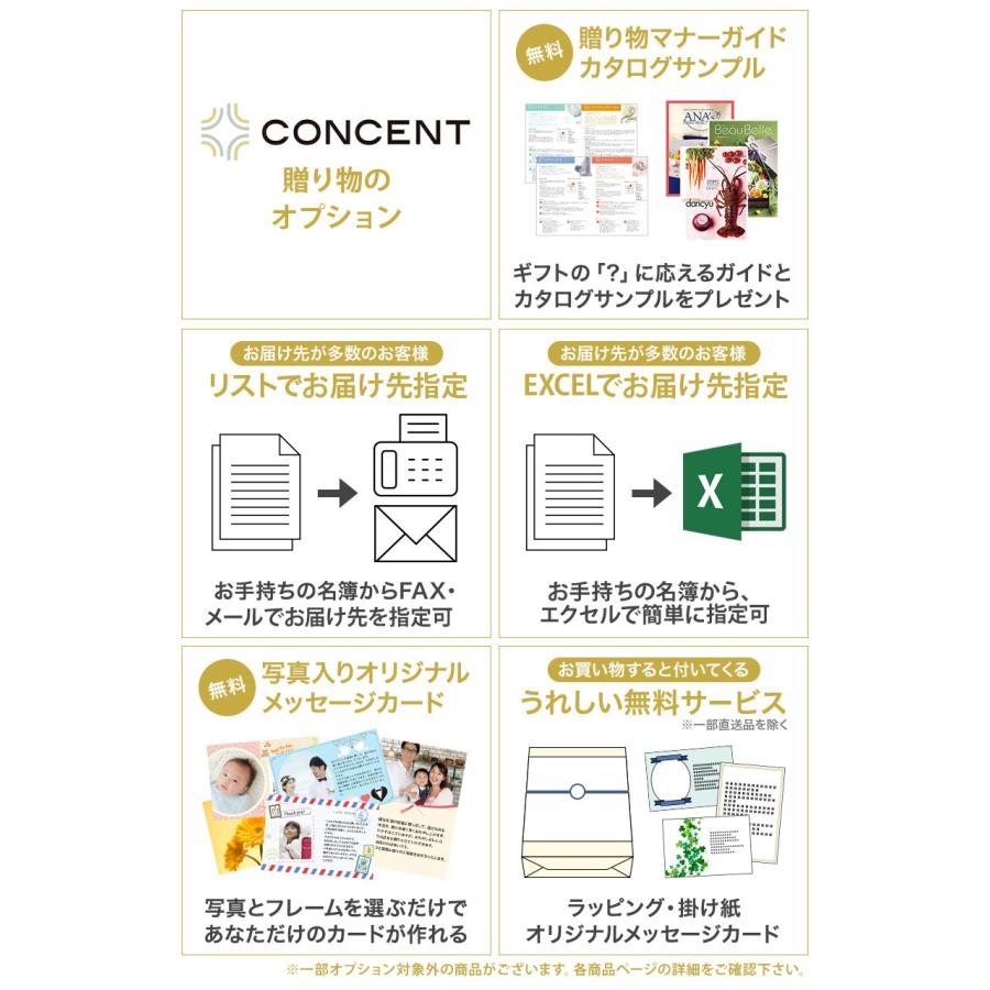 カタログギフト グルメ 送料無料 ANAフレッシュセレクション グルメ 「趣」 B+箸二膳(金ちらし) 内祝い お祝い 食べ物 おしゃれ 11000円 冬ギフトの画像