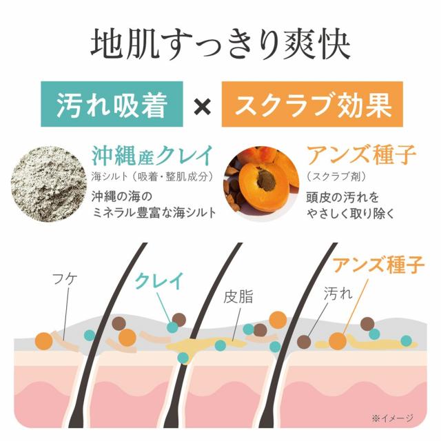 DAILY DELIGHT(デイリーディライト)ヘッドクレンズ (ボタニカルハーブの香り) 天然クレイで頭皮すっきりヘッドスパ | daily delight | 04