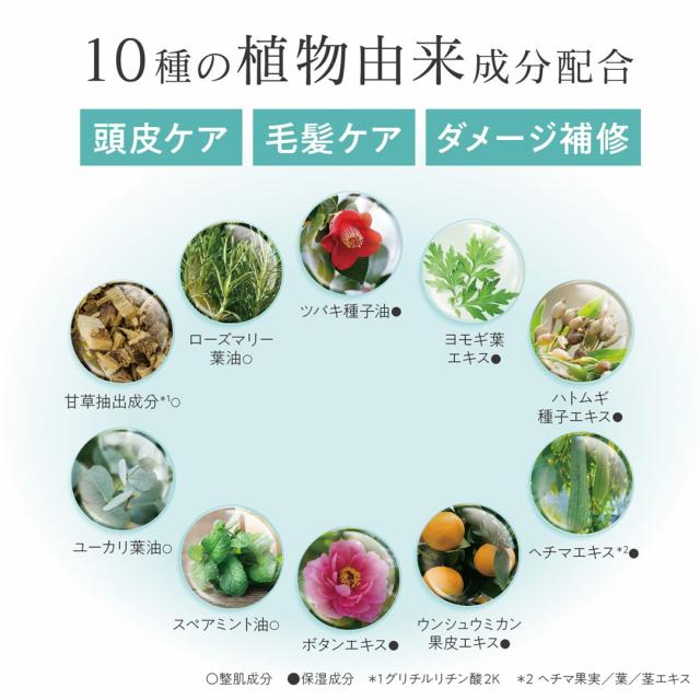 DAILY DELIGHT(デイリーディライト)ヘッドクレンズ (ボタニカルハーブの香り) 天然クレイで頭皮すっきりヘッドスパ | daily delight | 05