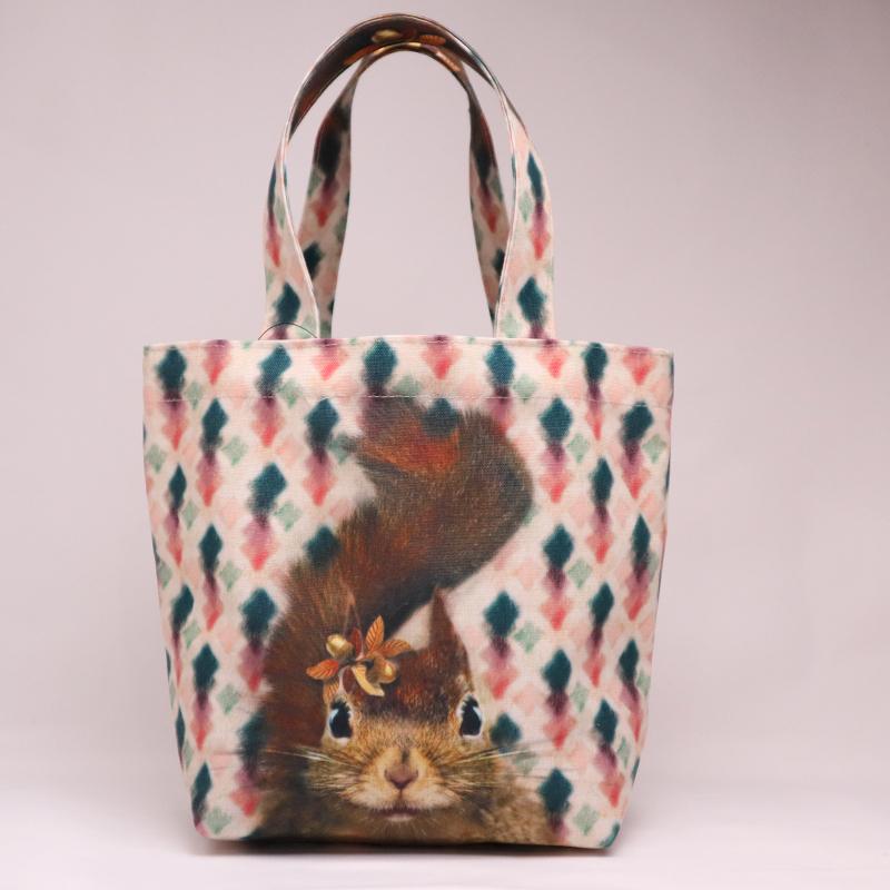 トートバッグ ミニ リュシーダンセット  ねこ エコバッグ ランチトート キャンバス 日本製 カバン かばん 鞄 レッセルーシーフェール SDGs ギフト | ブランド登録なし | 21