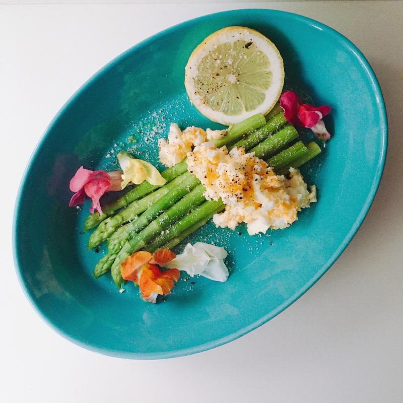 パスタ皿 カレー皿 オーバル皿 エスポ― ターコイズ/レッド 22cm 日本製