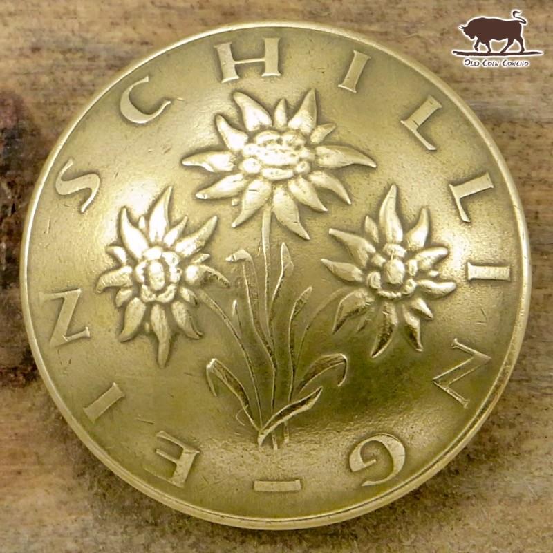 コンチョ　ボタン　本物コイン使用　オーストリア　1シリング　エーデルワイス 花　直径約22mm　sizeb　植物　コインコンチョ　ネジ式コンチョ　パーツ｜concho｜03