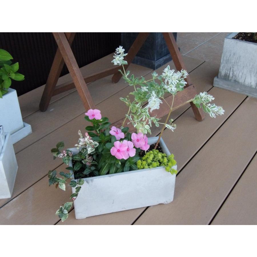 コンクリート プランター 長方形 植木鉢 30×15 ガーデニング
