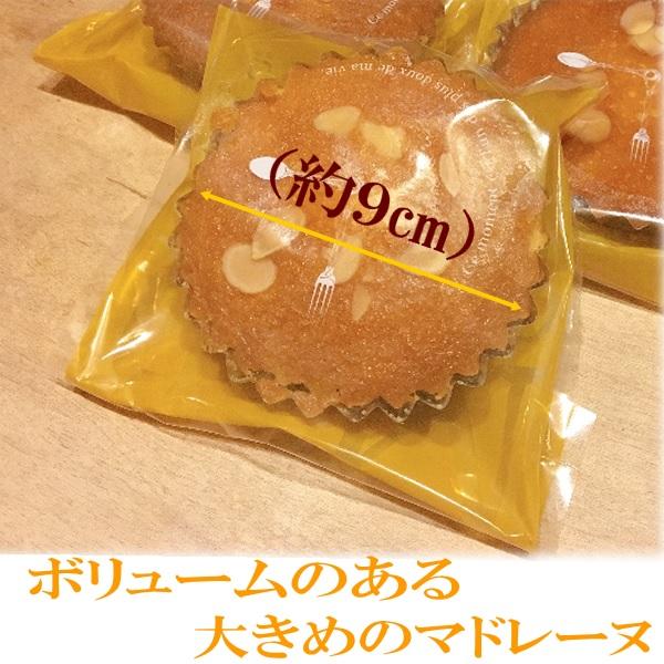 昔ながらの大きなマドレーヌ バターたっぷり 6個入り 無添加 メール便