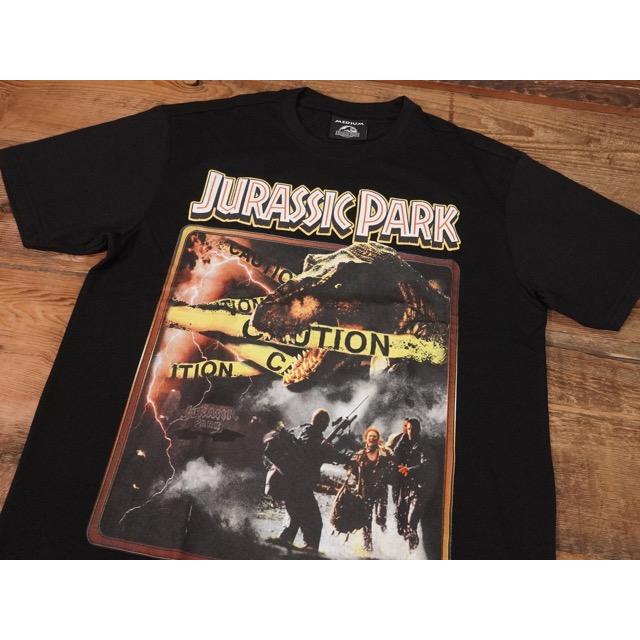 JURASSIC PARK : SHORT SLEEVE T-SHIRTS [ムービー/映画 