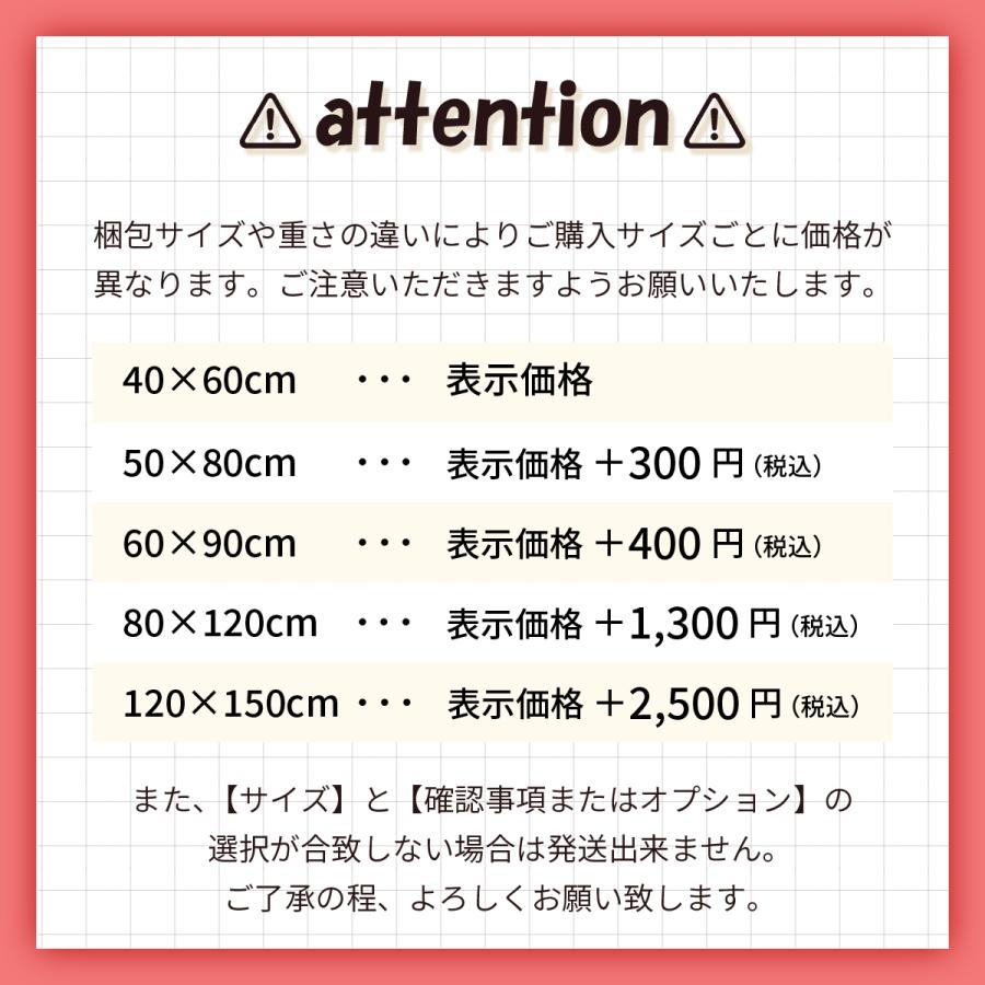 【2枚ご購入で500円OFFクーポンあり】玄関マット おしゃれ 室内 屋外 風水 北欧 業務用 吸水 40×60cm 50×80cm 60×90cm 80×120cm 120×150cm 無地 滑り止め｜confis-shop｜25