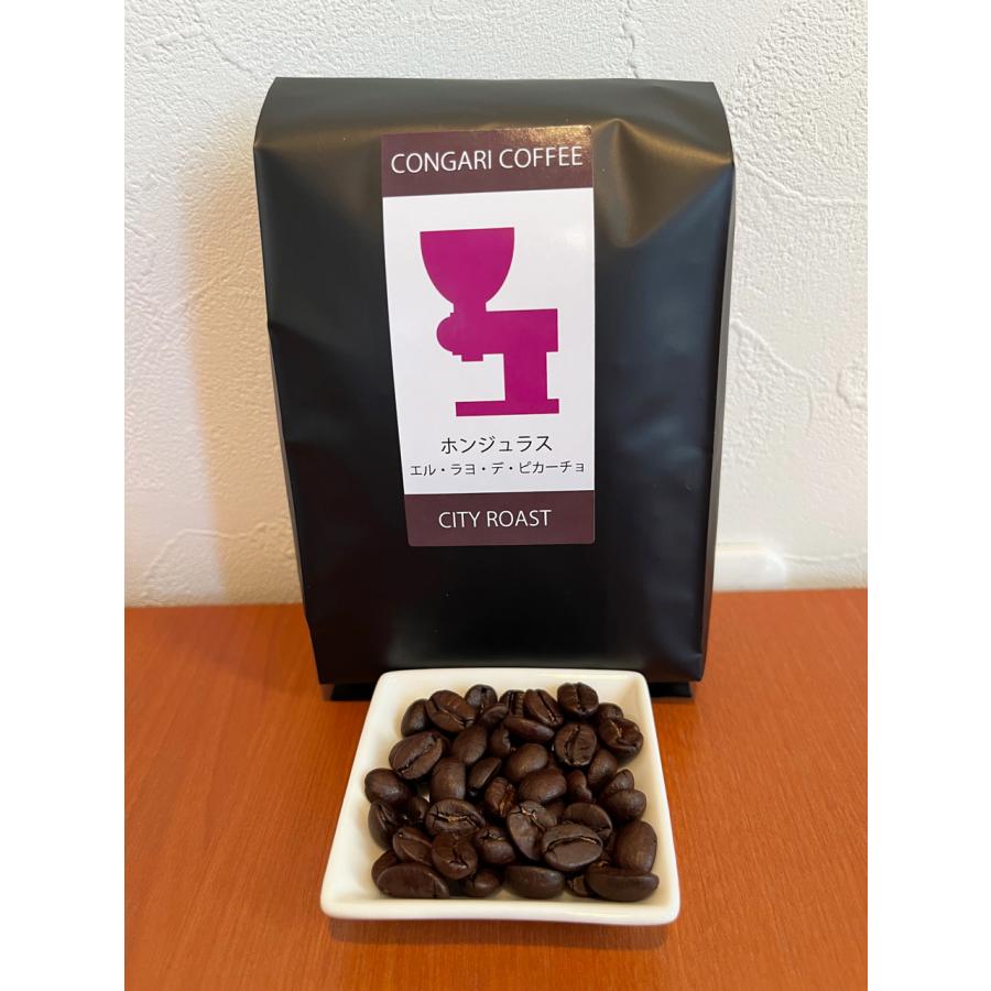 ホンジュラス エル・ラヨ・デ・ピカーチョ (シティロースト) 200g (豆) | 