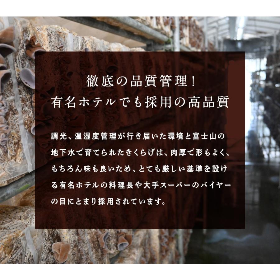 アウトレット きくらげ 国産 黒100g Or 白90g 純国産きくらげ 乾燥 キクラゲ 木耳 菌床栽培 現品