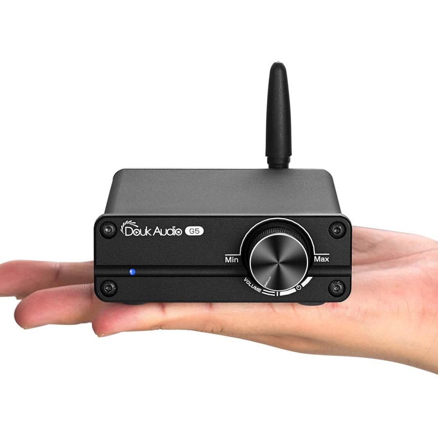 Douk Audio G5 HiFi Bluetooth 5.0 デジタル パワーアンプ Mini クラスDステレオ アンプ (ブラックカラー)｜connect-infinity｜03