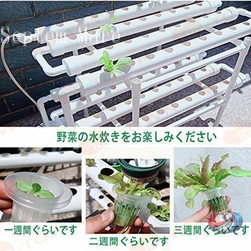 水耕栽培キット 室内 家庭菜園 108穴 ゾンチー 野菜やいちごを育てやすい すいこう栽培を始めたい方に便利な実用セット_4