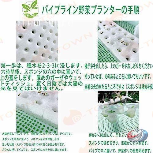 水耕栽培キット 室内 家庭菜園 108穴 ゾンチー 野菜やいちごを育てやすい すいこう栽培を始めたい方に便利な実用セット_6