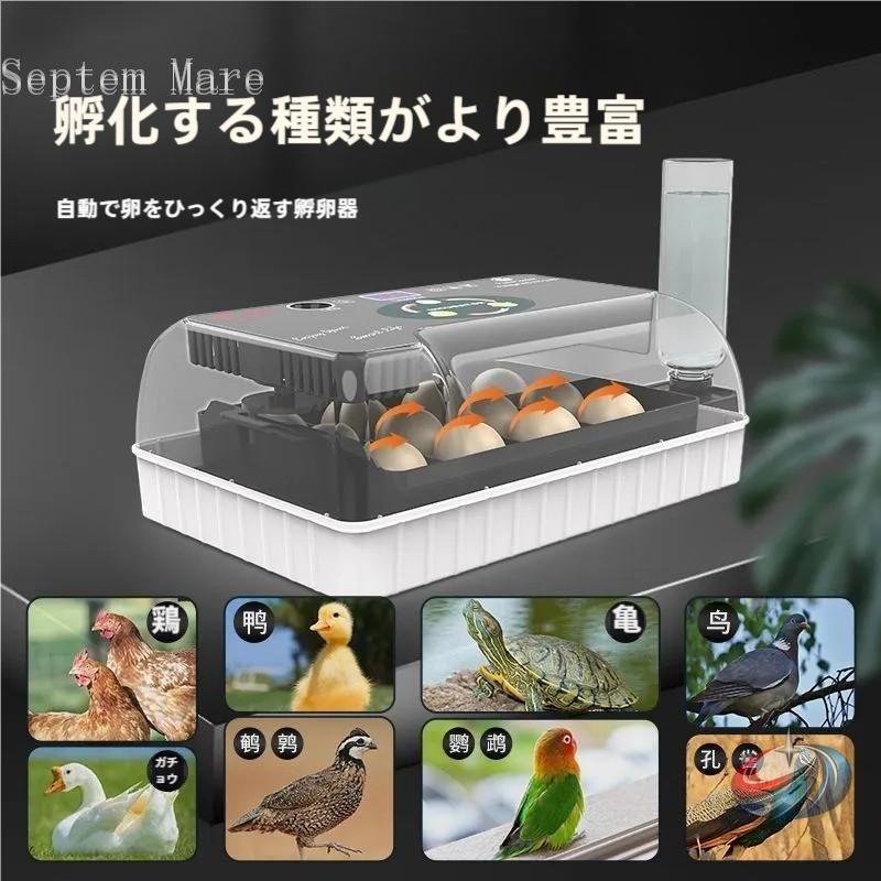 自動孵卵器 12個入 自動転卵 湿度保持 ゾンチー 鶏 うずら あひるの