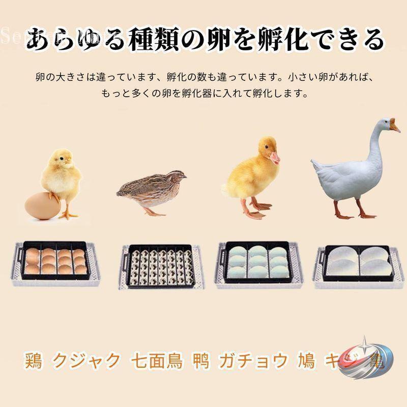 自動孵卵器 12個入 自動転卵 湿度保持 ゾンチー 鶏 うずら あひるの