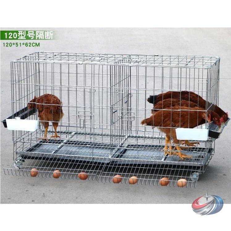 鶏小屋 チキンケージ 飼育ケージ 特大 折りたたみ 自動エッグロー 複数サイズ ゾンチー 採卵しやすく家庭飼育にも使いやすい大型チキンハウスケージ_10
