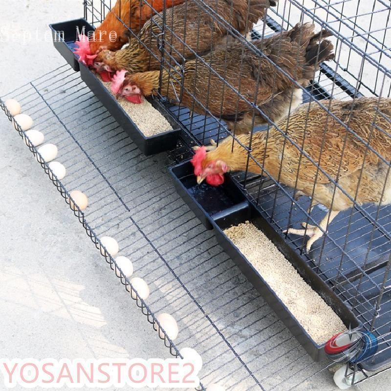 鶏小屋 チキンケージ 飼育ケージ 特大 折りたたみ 自動エッグロー 複数サイズ ゾンチー 採卵しやすく家庭飼育にも使いやすい大型チキンハウスケージ_3