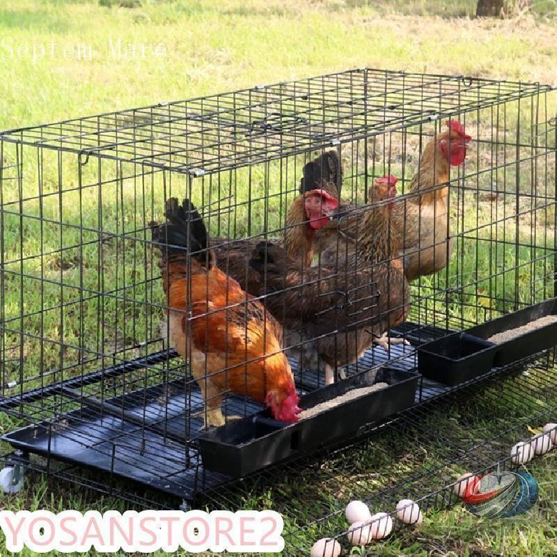 鶏小屋 チキンケージ 飼育ケージ 特大 折りたたみ 自動エッグロー 複数サイズ ゾンチー 採卵しやすく家庭飼育にも使いやすい大型チキンハウスケージ_6