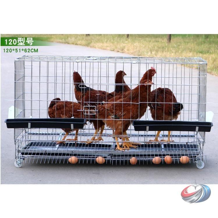 鶏小屋 チキンケージ 飼育ケージ 特大 折りたたみ 自動エッグロー 複数サイズ ゾンチー 採卵しやすく家庭飼育にも使いやすい大型チキンハウスケージ_9