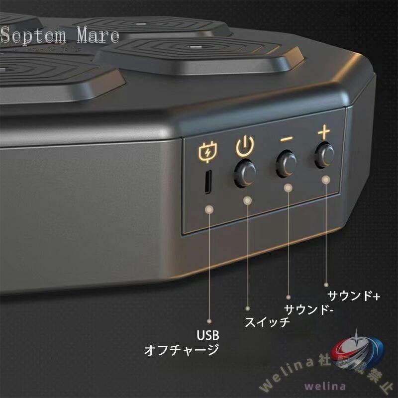 音楽ボクシングマシン スマート パンチングターゲット ゾンチー ディスプレイ付き ライト付き 子供大人兼用で使いやすい 自宅トレーニングを楽しくする_6