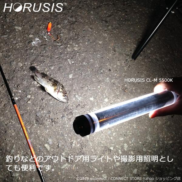 HORUSIS CL-M 5500K / 3000K 充電式 防水 LED ライト 作業灯 ハンディ