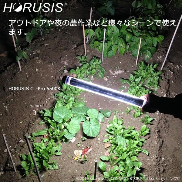 HORUSIS CL-Pro 5500K 700LM Type 充電式 防水 LEDライト 作業灯