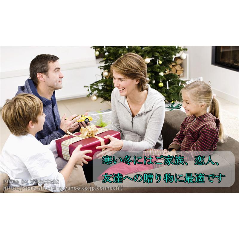 電気足温器 フットウォーマー 電気 マット 洗える 足入れ 洗濯 電気