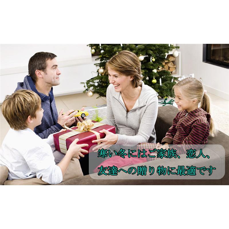 サンルート 小富士 遠赤外線電気マット（足用 2枚組）ネイビー フットウォーマー 電気 マット 洗える 足入れ 2人用 電気足温器