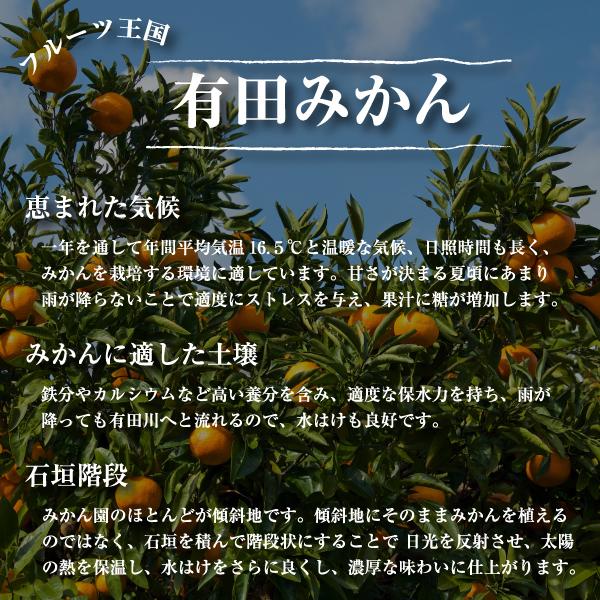 有田みかん農家直送☆ブランド味わい美人小粒手まりみかん箱込み２０キロ 有田みかん農家直送☆ブランド味わい美人小粒手まりみかん箱込み