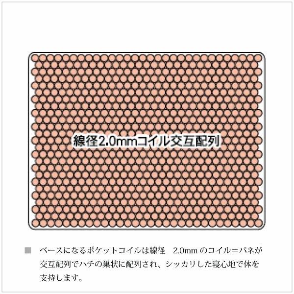 Serta サータ ペディック 85GF BOX-T ハード グラフェン Serta サータ ペディック 85GF BOX-T ハード グラフェン