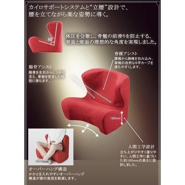 ドクターチェア Style Dr.CHAIR 姿勢ケア 座椅子 MTG正規品｜conome｜05