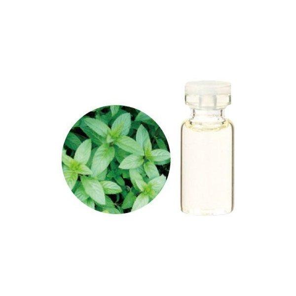 30 Offアウトレットsale 有機ペパーミント精油 Organic Peppermint 50ml 生活の木 ブランドショッパー付き 9jaoil Com