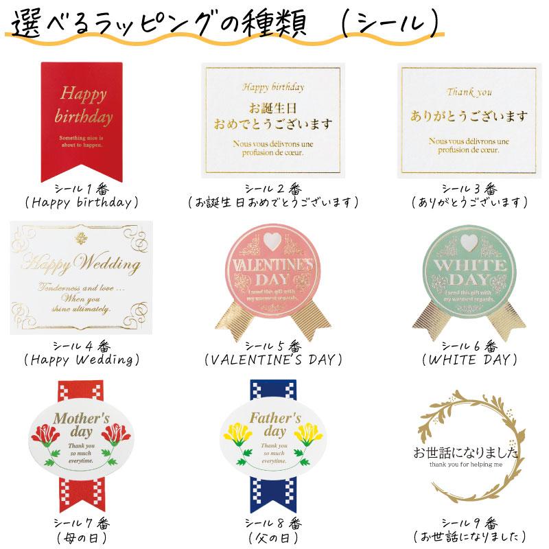 ラッピング即日出荷可能 リファ カラットレイフェイス ReFa CARAT RAY  