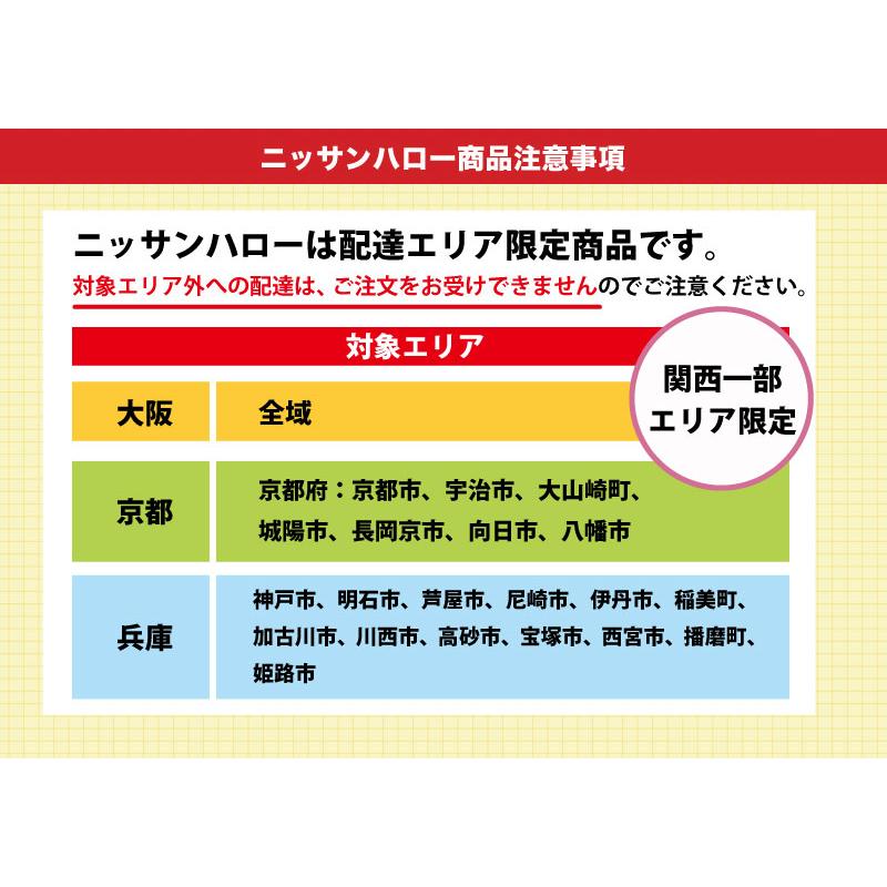 大型ゴミ収納器付一槽流し台　S-TYPE　奥行550mm　[E55-170]　関西一部エリア　ニッサンハロー　間口1700　メーカー直送　法人様限定