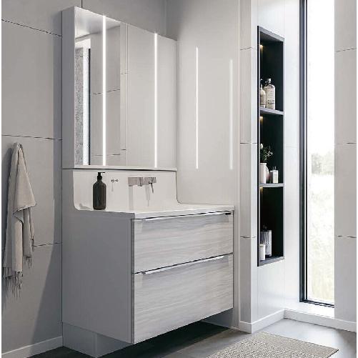 洗面化粧台 ELEENA エリーナ 間口1000mm タカラスタンダード 3面鏡 2段