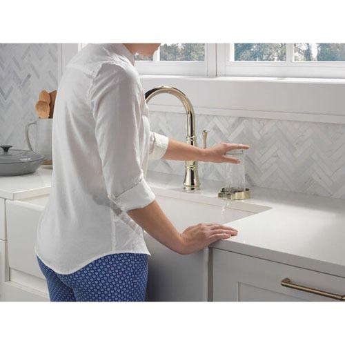 グラス洗浄機 Glass Rinser グラスリンサー ボリッシュドニッケル