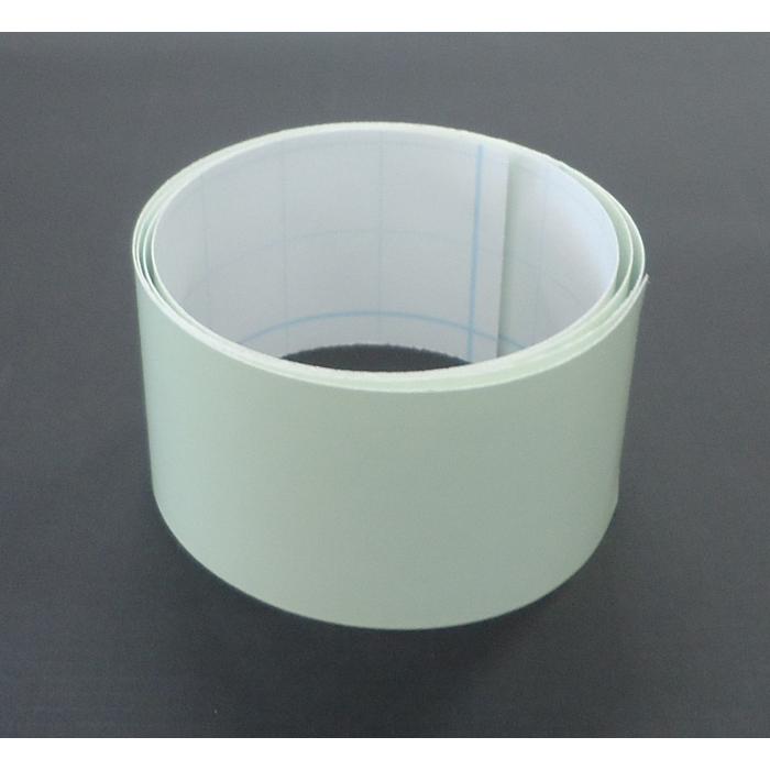 シンロイヒ　ロイヒテープ　5cm×1ｍ　蓄光粘着テープ　シンロイヒ株式会社 |  | 01