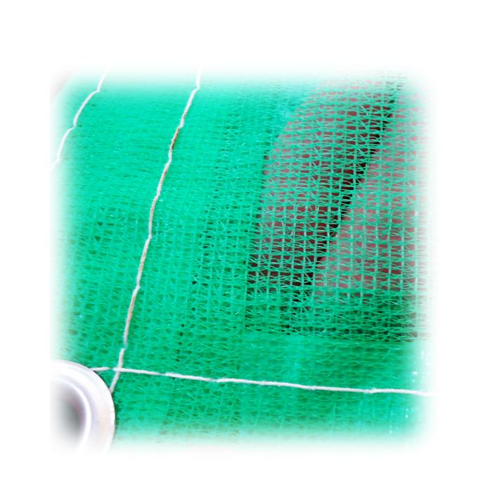飛散防止ネット グリーン 今季ブランド 3.6×5.4m ラッセル織り塗装ネット 3.6ｘ5.4ｍ 返品送料無料 緑 450Ｐ