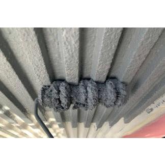 メガデカ虎スモールローラー　長毛　6吋　 白色　毛足30mm　10本　タイホウ　大豊　6インチ　毛丈30ｍｍ |  | 01