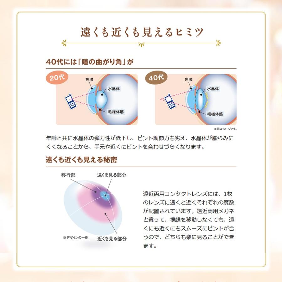 SEED 商品 2ウィークピュアマルチステージ 6枚 1箱 | メーカーから選ぶ