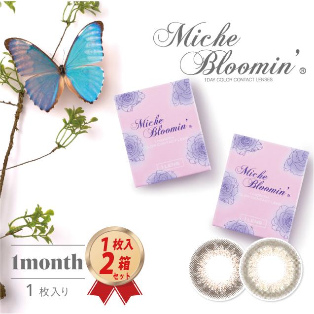 バースデー 記念日 ギフト 贈物 お勧め 通販 カラコン マンスリー ミッシュブルーミン 度あり 1枚入 2箱セット ポイント15倍 送料無料 1ヶ月 カラーコンタクトレンズ ワンマンス 紗栄子 Saeko