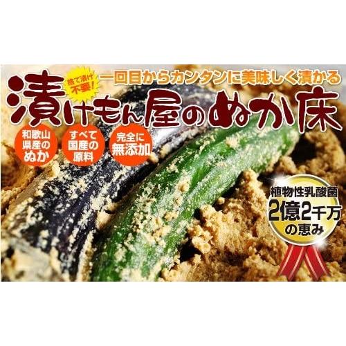 送料無料 樽の味 熟成ぬか床スタンドパック : ひかりコンタクト - 通販