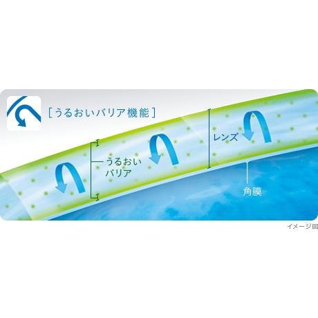 バイオトゥルーワンデー 30枚入 12箱 90枚4箱分 ボシュロム ワンデー コンタクト コンタクトレンズ 1日使い捨て 送料無料
