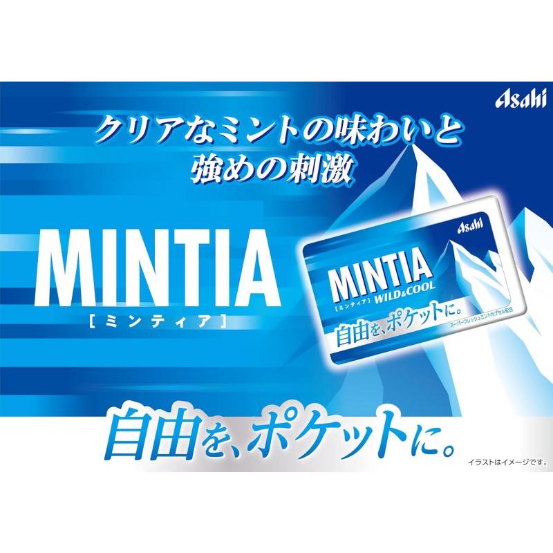 アサヒグループ食品 ミンティア ワイルド＆クール 50粒 40個セット