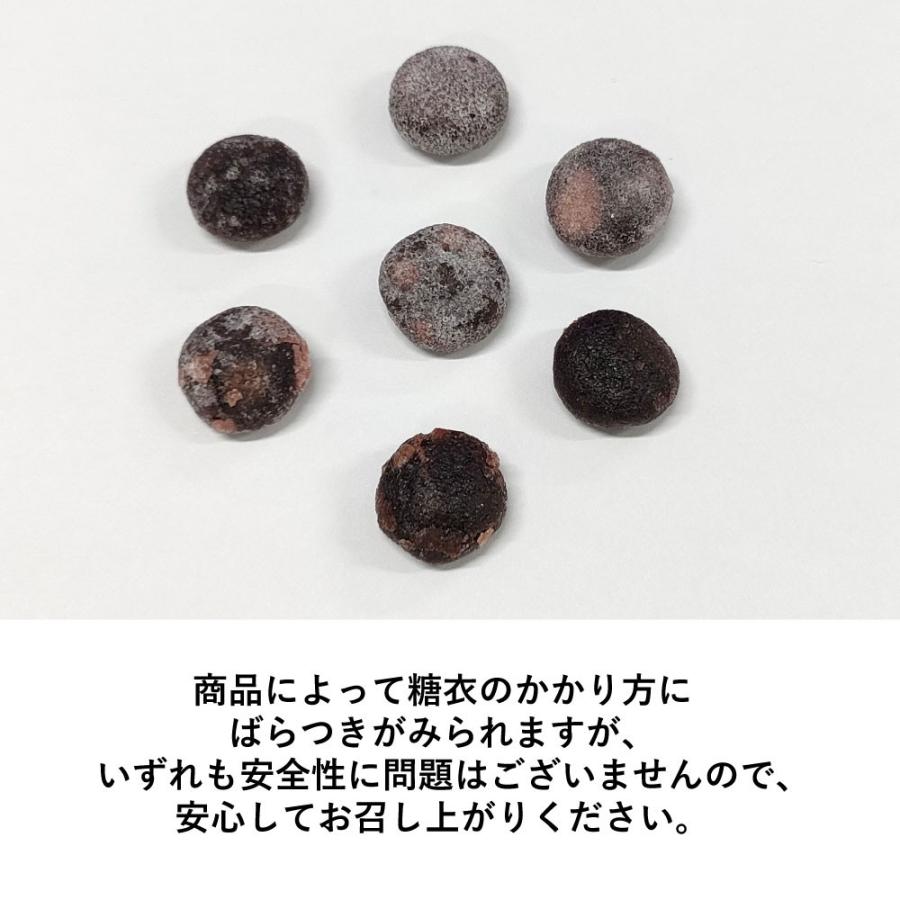 野口医学研究所 おとなの肝油ドロップ ブルーベリープラス 100粒 ×5個 一部地域を除き送料無料_2