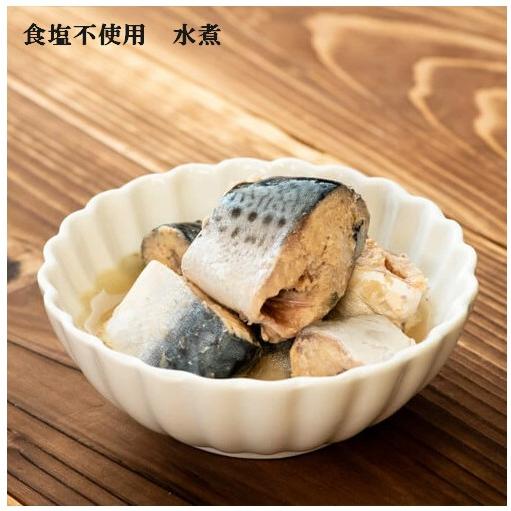 伊藤食品 あいこちゃん 青の鯖水煮 食塩不使用 150g×6缶 国産 さば缶