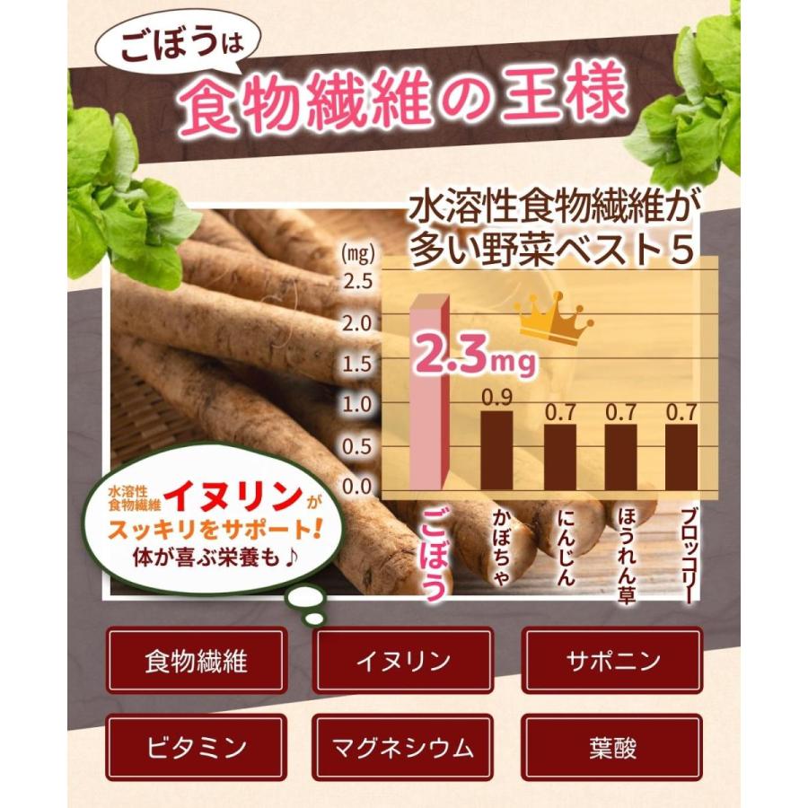 ごぼう茶 国産 ノンカフェイン 2g×40包 ティーバッグ ゴボウ茶 健康茶