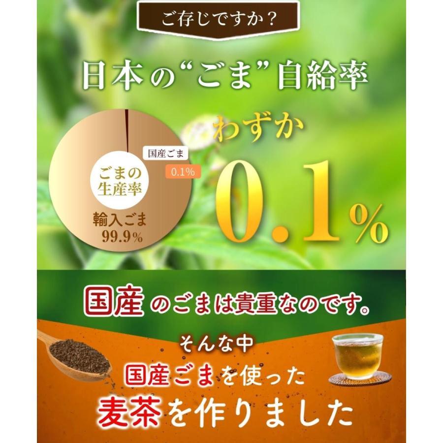 胡麻麦茶 国産 黒ごま麦茶 5g×50包 黒胡麻麦茶 ティーバッグ ノン