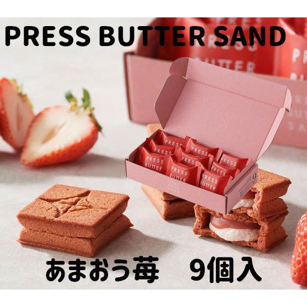 プレスバターサンド 9個入 PRESS BUTTER SAND 東京土産 全商品オープニング価格! PRESS BUTTER SAND 京都限定 抹茶 9個入り 専用箱 ショップ袋セット プレスバターサンド