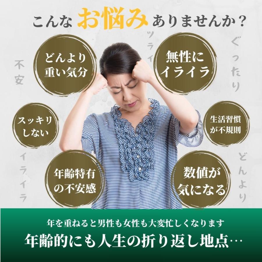 有機 田七人参 （2袋セット）  サプリ サポニン 有機JAS (1粒 田七人参250mg) 240粒入 30〜60日分 |  | 02